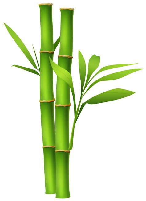 clip art bamboo|bamboo background clip art.